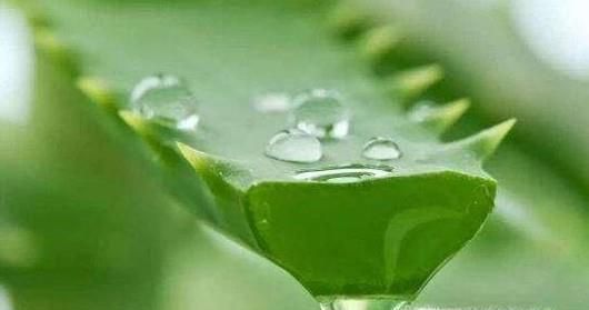 蚊虫叮咬如何防止感染其他疾病？如何快速消肿？