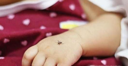 蚊虫叮咬如何防止感染其他疾病？如何快速消肿？