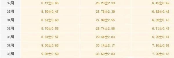 胎儿体重计算器如何使用