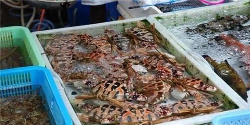 珠海哪里吃海鲜好