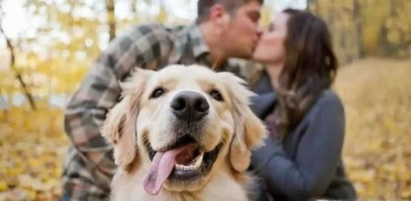 知道什么是单身狗吗？