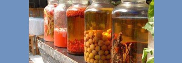 红豆杉皮的功效与作用