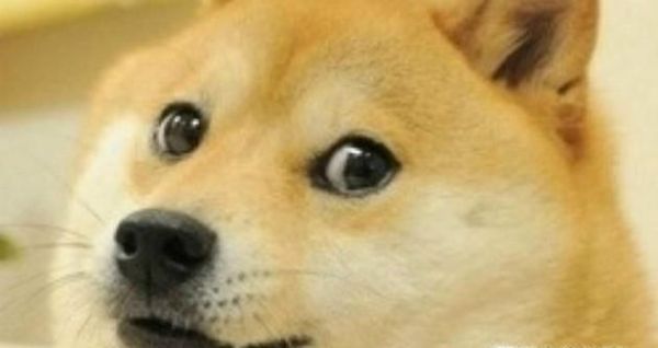 知道什么是单身狗吗？