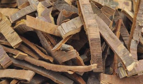 红豆杉皮的功效与作用