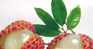 水果类食物有那些