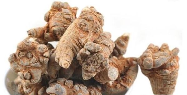 怎样挑选（购买）云南三七——鉴别三七的方法