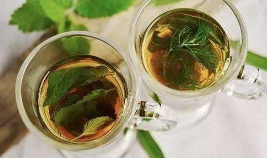 薄荷根能泡水喝吗