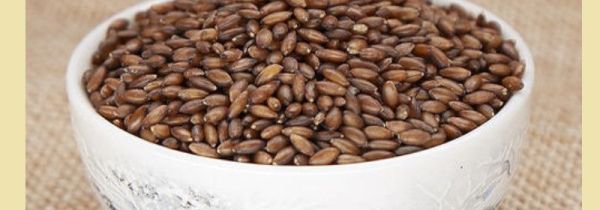 吃黑金谷的禁忌