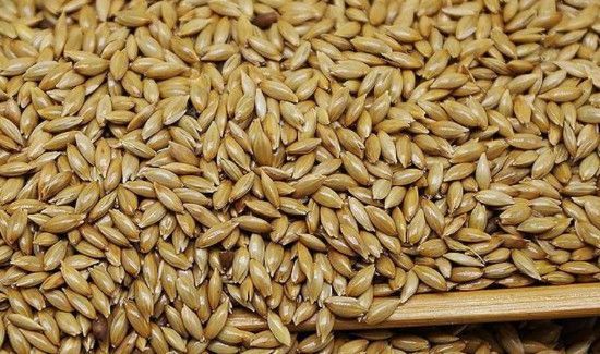 吃黑金谷的禁忌