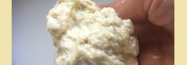 做面筋需要放酵母吗