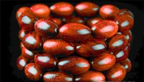 血檀与小叶紫檀的区别