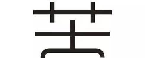 教你鉴别真伪灵芝