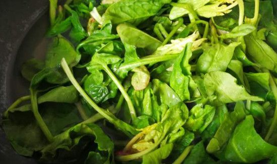 菠菜和豆浆能一起吃吗