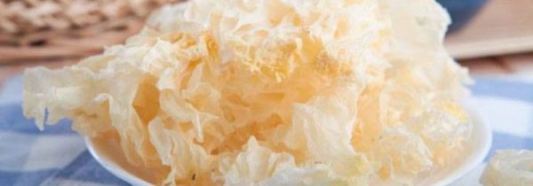 糯银耳与银耳的区别