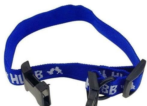 狗狗长虱子了怎么办，实用狗狗除虱小技巧