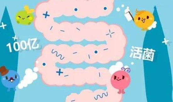 谷蔬纤活益生菌的功效