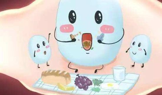 谷蔬纤活益生菌的功效