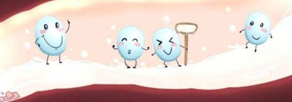 谷蔬纤活益生菌的功效