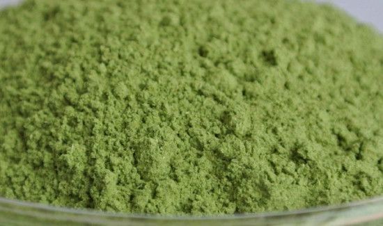 大麦苗粉的禁忌