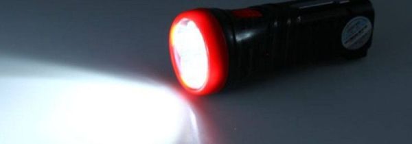 赶走蝙蝠小妙招