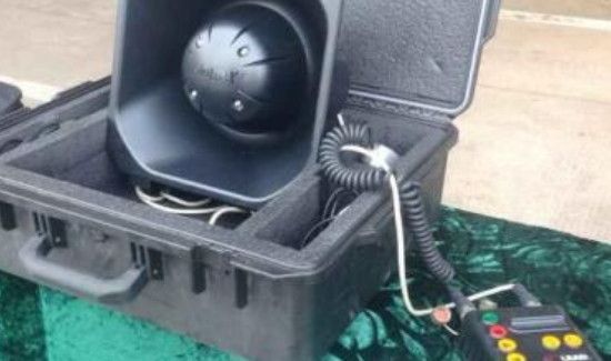 赶走蝙蝠小妙招