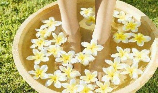 菊花泡脚的功效与作用