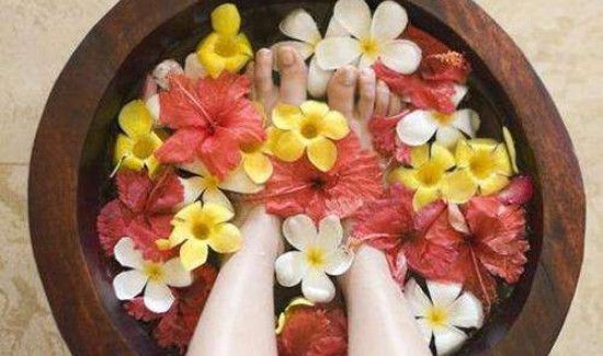 菊花泡脚的功效与作用