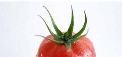 西红柿的相宜与相克食物