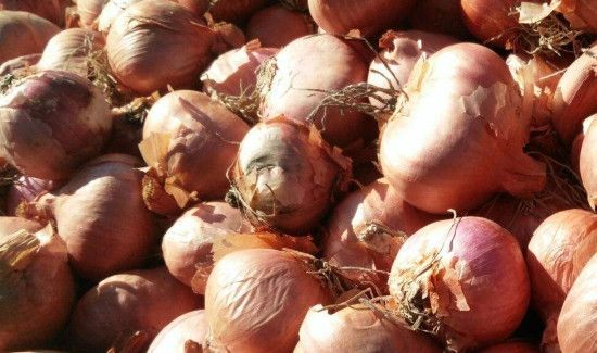 生吃毛葱的功效与作用