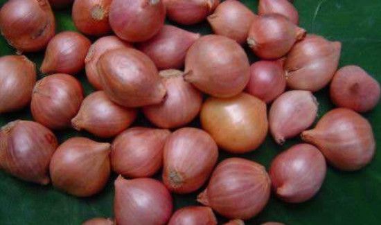 生吃毛葱的功效与作用