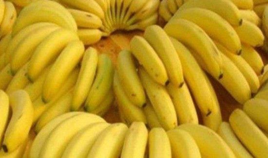 香蕉为什么是弯的