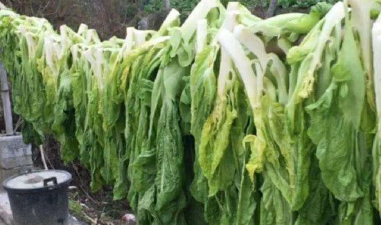 白菜怎样保存的时间长