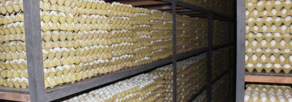 大批量鸡蛋的仓库保存方法