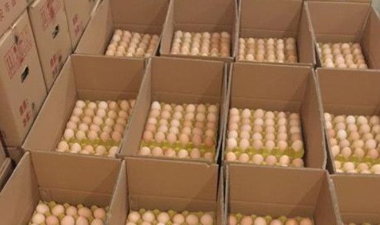 大批量鸡蛋的仓库保存方法