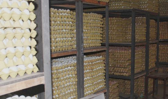 大批量鸡蛋的仓库保存方法