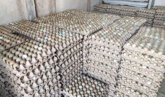 大批量鸡蛋的仓库保存方法