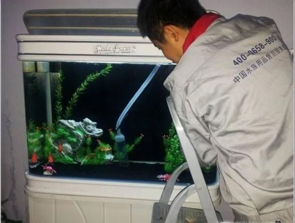 罗汉鱼头洞病治疗方法