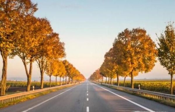 如何学会人生中的那些道理？