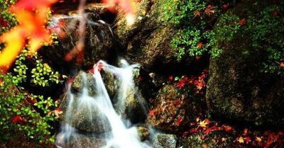 如何学会人生中的那些道理？