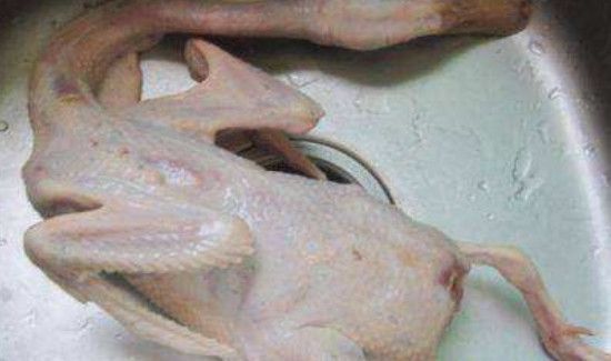 鸭子毛去不干净怎么办