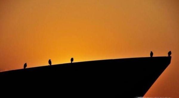 如何学会人生中的那些道理？