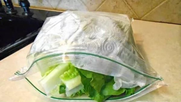 怎么更长时间保存绿叶蔬菜