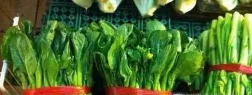 怎么更长时间保存绿叶蔬菜