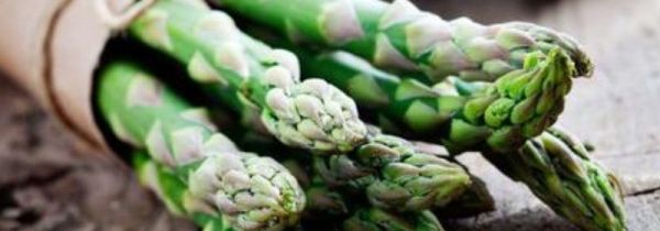 芦笋不适宜人群