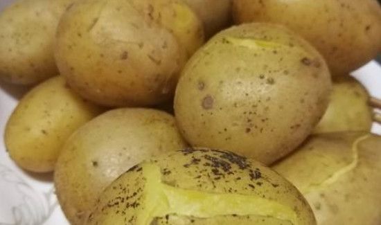 土豆怎么保存不发芽不发绿