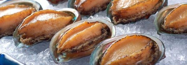 鲍鱼可以冷冻储存吗