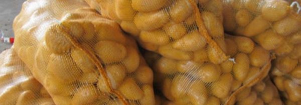 土豆怎么保存不发芽不发绿