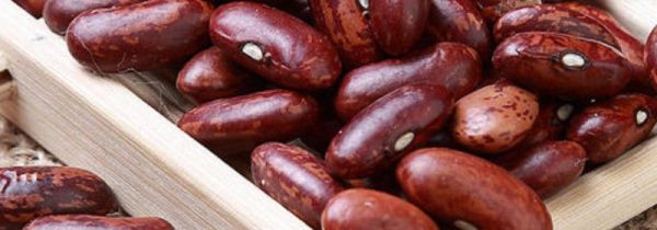 花腰豆的功效与作用及食用方法