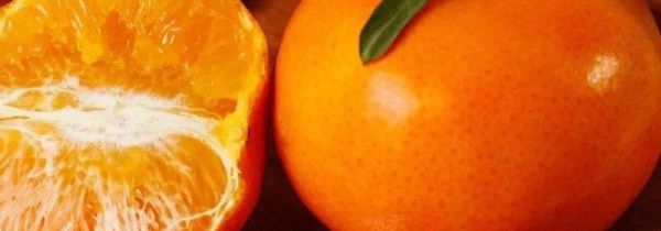 沃柑的功效与作用,上火吗?