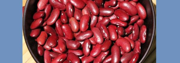 腰豆的功效与作用及食用方法